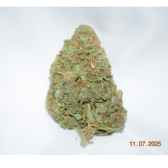 A.T.F. Sativa Dom Hybrid AAA 