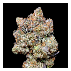 Muerte x Pinkstar 180$OZ GAS FIRE