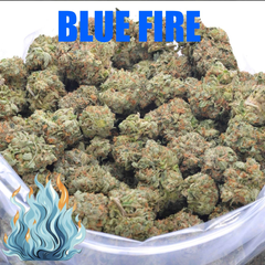 BLUE FIRE AAAAA+ CRAFT - 2 FOR $225