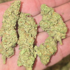 APPLE KUSH 70OZ 2FOR130 4FOR250