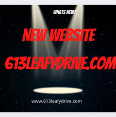 613leafydrive.com