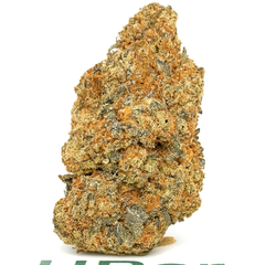 14G - BC Alien Asshat Hybrid 👽⛑️ - 4oz Bulk Deal for $340