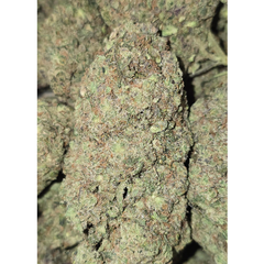 GAS MAC 120oz 2for220 4for420