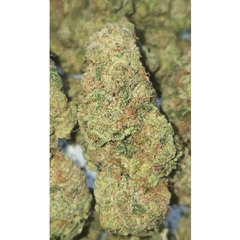 CITRUS FARMER 120OZ 2FOR220 4FOR420