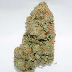 Bruce Banner Sativa Dominant Hybrid AAA