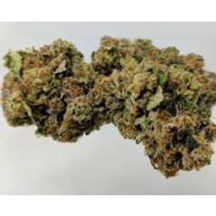 Comatose Kush OG AAAA