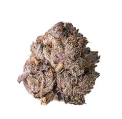 Hash Plant