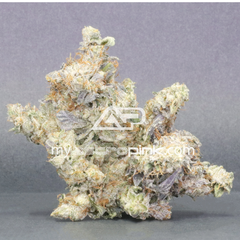 Lot #7653 One Hit Wonder