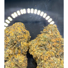 * NEW * Brownie Scout High Grade 
