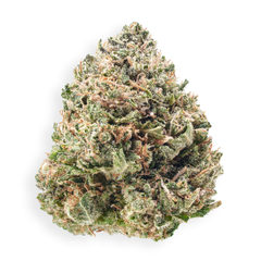( AAA ) Pink OG 24% THC |  $120/Oz  |  $170/2 Oz 
