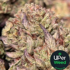 (28G) - BLACK TUNA🖤⛽Indica | 4Oz Bulk Deal for $200