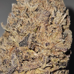 ●●● OUNCE SPECIAL HIGH TRIPS●●● MOTOR BREATH 28%THC INDICA AAA