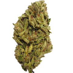 BC (AAA) LEMON MERINGUE 