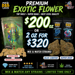 ON SALE HUSH GAS PREMIUM DIAMOND DUSTED FLOWER