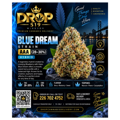 AAA+ Blue Dream (2 oz - 95$) (4 oz 170$)