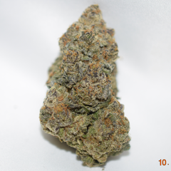 Black Forest Cake Indica Dominant Hybrid AAAA+