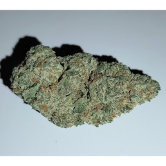 Black Domina (High-Grade)