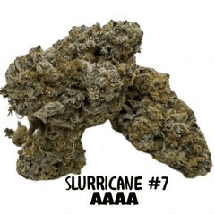 SLURRICANE #7 -AAAA-