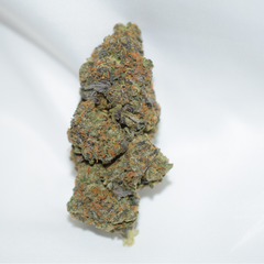 Afghan Purple Kush Indica AAA 