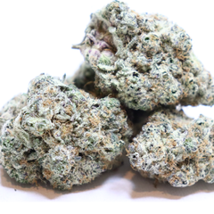 BC KUSH AAA+  - duplicate