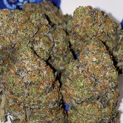 Platinum death bubba 💀