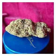 *NEW* Black Kush (7g-$50/14g-$80/28g-$150) (31% THC)