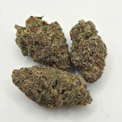 AAA+ Black Gelato 2oz for 180