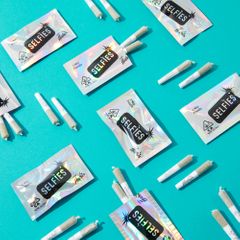Infused Preroll 2 Pack (.5g) - Citrus Circus