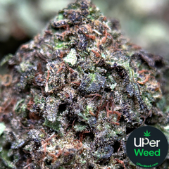 (28G) - Death Star ☠️⭐⛽ Indica | 4Oz Bulk Deal for $200