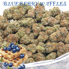 BLUEBERRY WAFFLES AAAAA+ CRAFT - 2 FOR $250