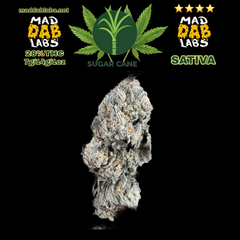 $100oz SUGARCANE - SATIVA🔥🔥🔥🔥🔥