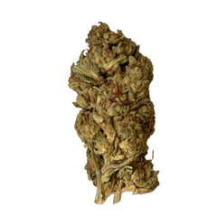 *********O strain
