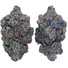 Ghost OG Kush (AAAA+)