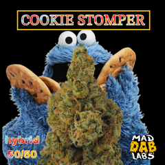 COOKIE STOMPER🔥🔥🔥🔥🔥