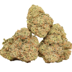 $200 For QP - Apple Run Hybrid