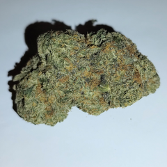 Afghan Big Bud (Premium-Grade)