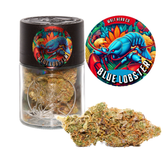 Blue Lobster 7g Jar – Walt Herb Co.