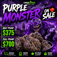 Purple Monster 👽 Full Pound $700