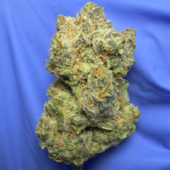 DO-SI-DOS (Girl scout cookies x Faceoff OG)