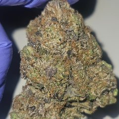 ☆SUPER EXCLUSIVE LOUDPACK☆ MEGA GLUE PURE INDICA 36% GROWN BY BLACK LABEL 5STAR GAS 