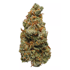 $50 ON SALE    -   Super Lemon Haze | Mix & match 