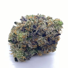 *CRAFT QUAD* ASTRO PINK 💣 