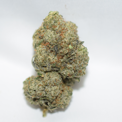 Comatose OG Indica Dominant Hybrid AAA