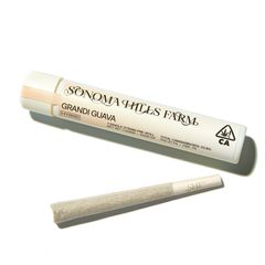 Grandi Guava - 1g Pre-Roll
