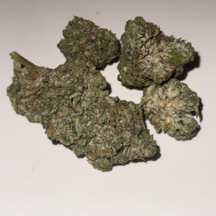 Animal Face Quads King 