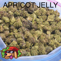 APRICOT JELLY OG AAA+ - 2 FOR $80 - 4 FOR $140 - 8 FOR $225
