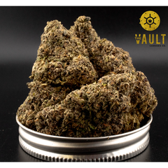   ⭐️ SUPER SALE ⭐️ AAAA+ | PEACE FORCE 