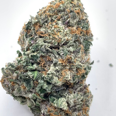 *RESTOCK* Stormtroopers 4A