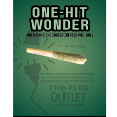          ⭐️NEW* ONE-HIT WONDER⭐️