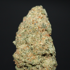 AAAA | CANDY PACK BY C.E. - 7G 